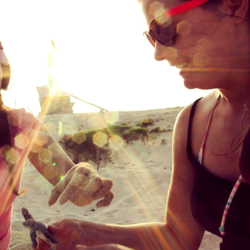 Releasing a sea turtle into the ocean