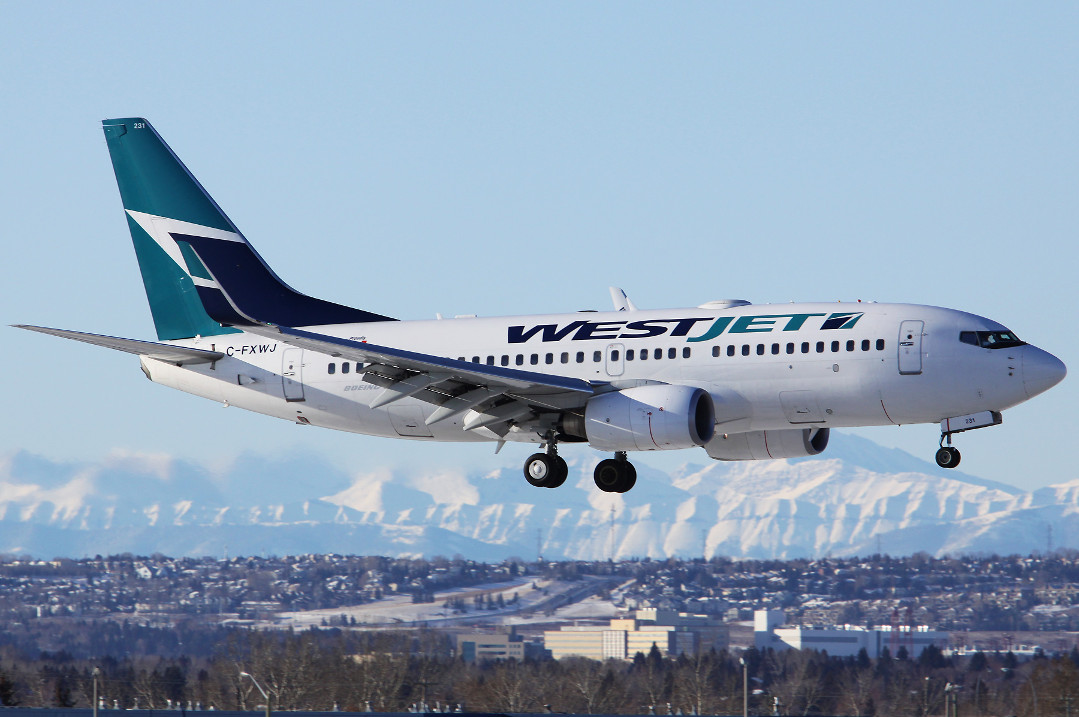 WestJet Red PLatypus
