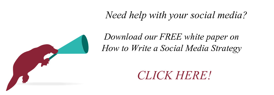 social media strategy